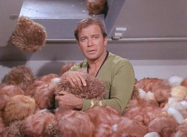 A screenshot from the Star Trek episode "The Trouble With Tribbles." Captain Kirk, confused, is surrounded by a swarm of puffy Tribbles.
