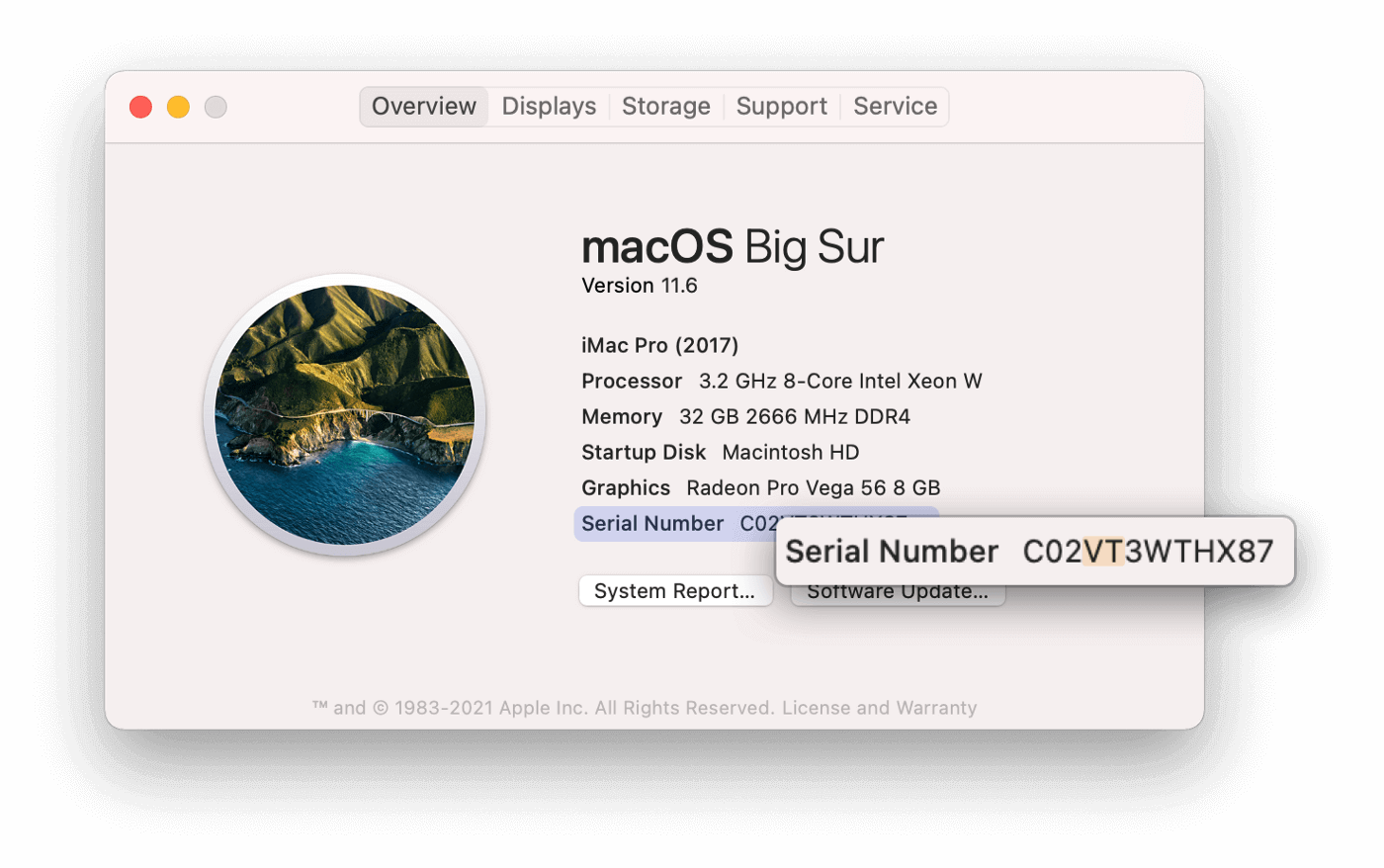 A screenshot of the "About This Mac" screen with the serial number portion emphasized