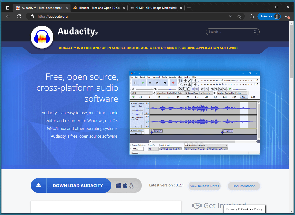 audacity-malvertising-website.png